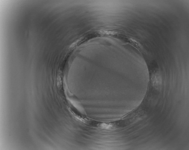 X0000080150570200612221952