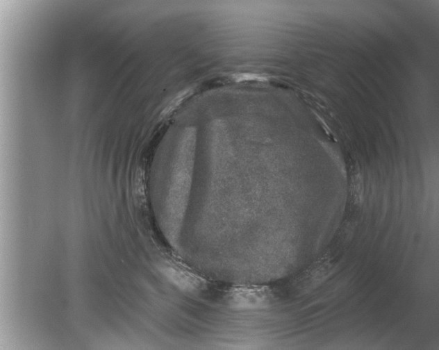 X0000080150571200612221952