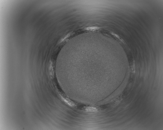 X0000080150572200612221952