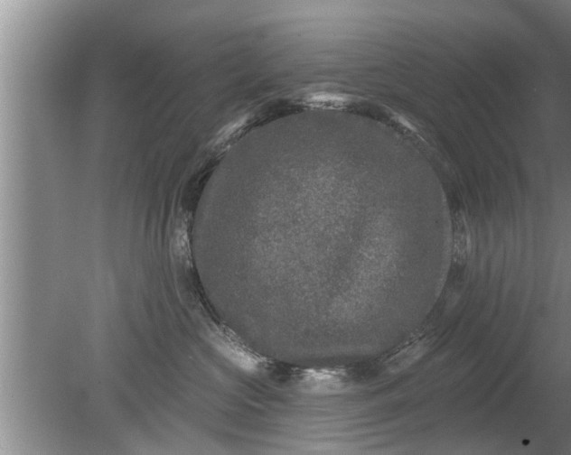 X0000080150573200612221952