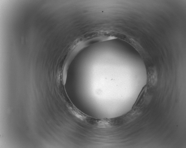 X0000080150574200612221952