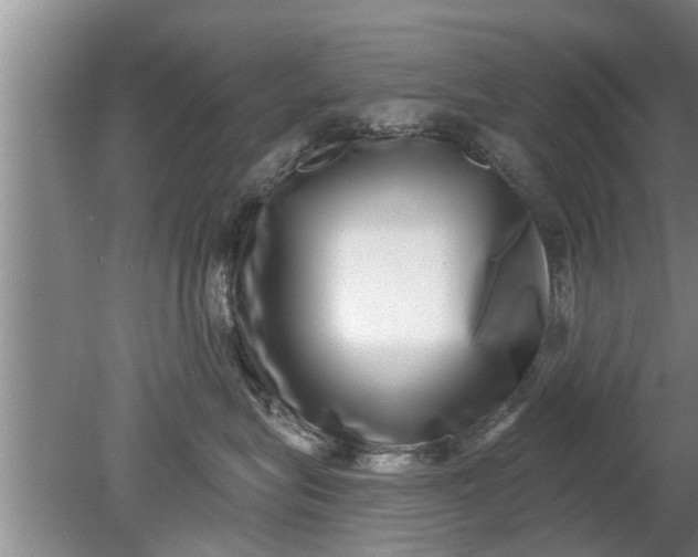 X0000080150575200612221952