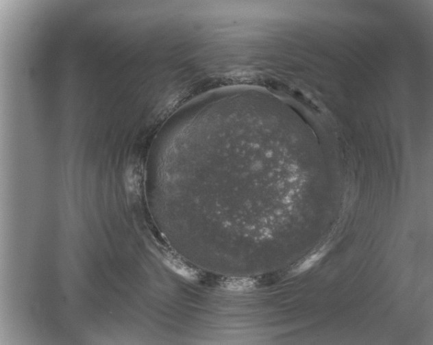 X0000080150576200612221952