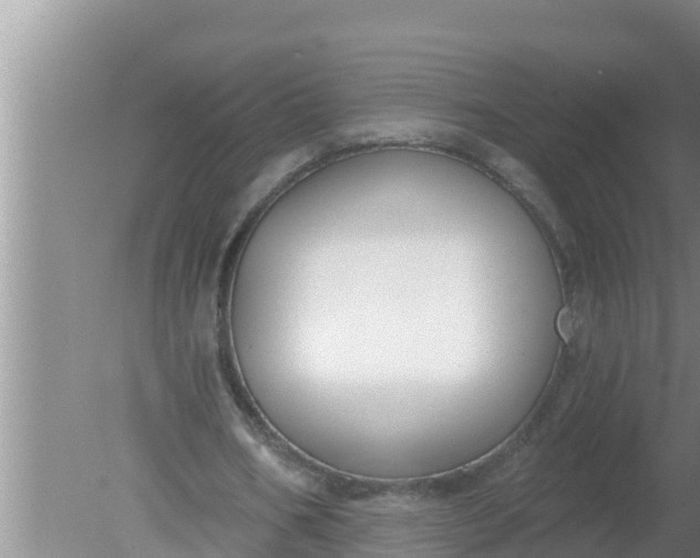 X0000080150578200612221951