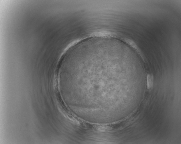 X0000080150579200612221951