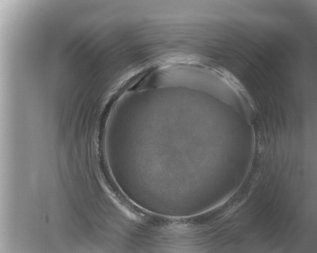 X0000080150581200612221951