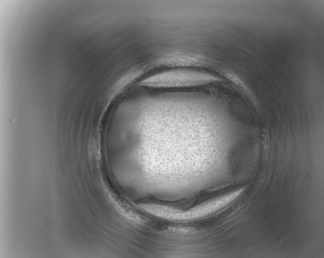 X0000080150582200612221951