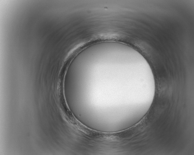 X0000080150583200612221951