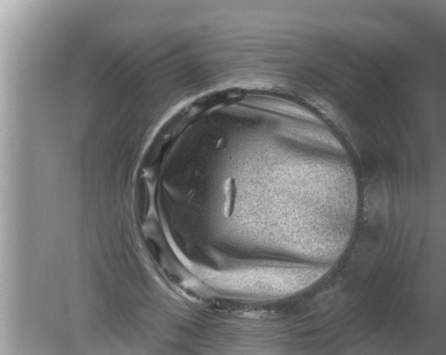 X0000080150584200612221951