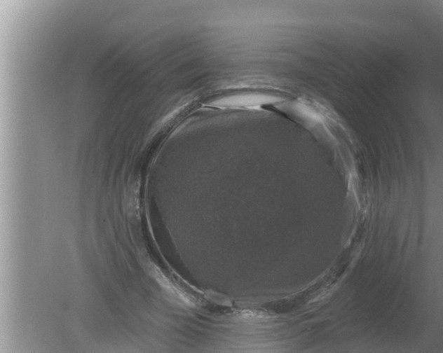 X0000080150585200612221951