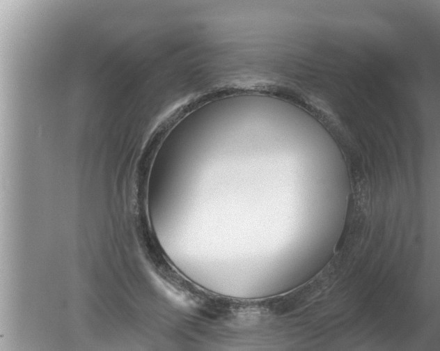 X0000080150587200612221951