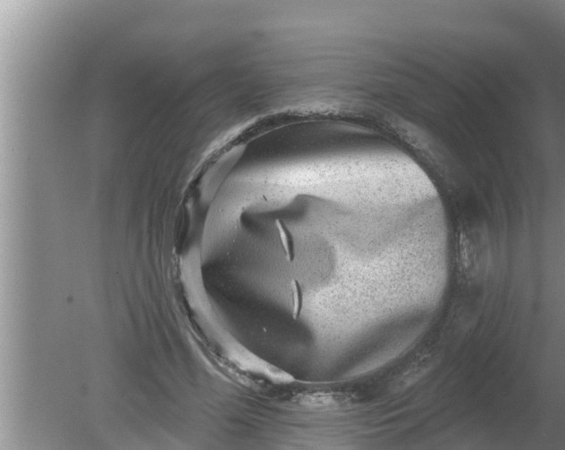 X0000080150588200612221951