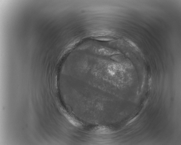 X0000080150589200612221951