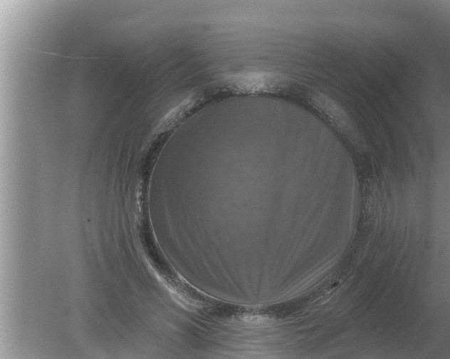 X0000080150590200612221951