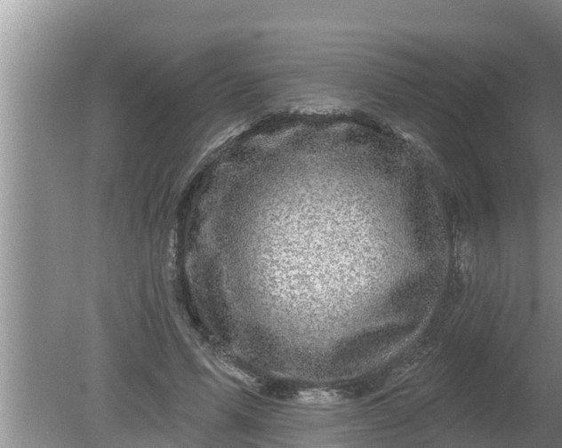 X0000080150591200612221951