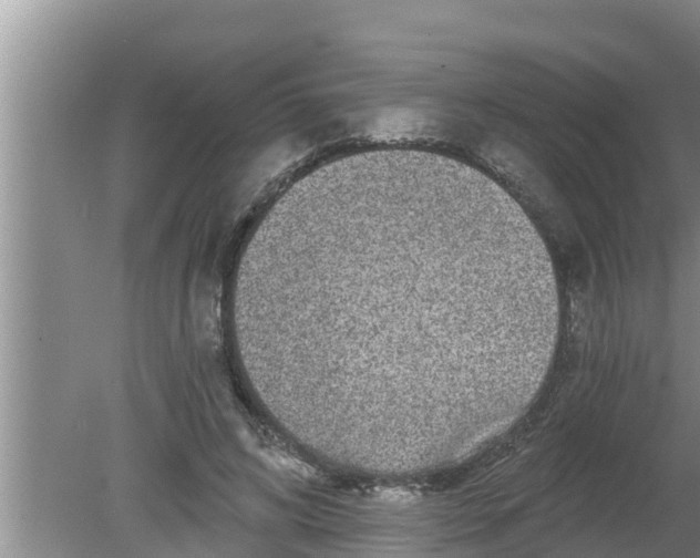 X0000080150592200612221951