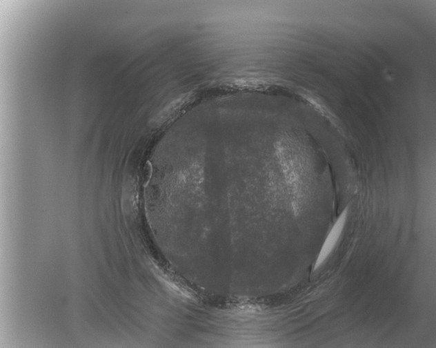 X0000080150593200612221951