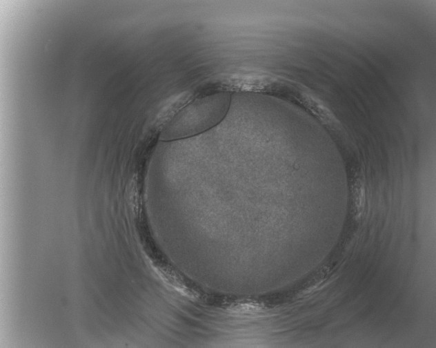 X0000080150594200612221951