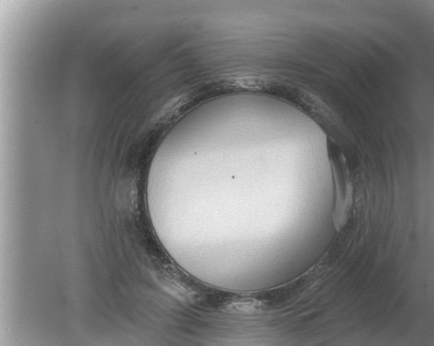 X0000080150595200612221951