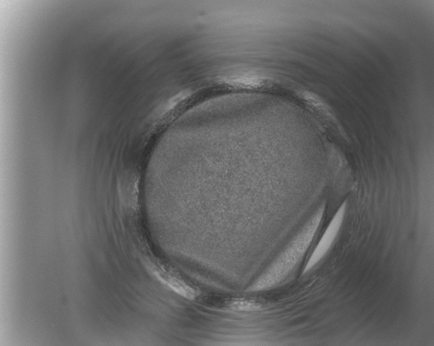 X0000080150596200612221951