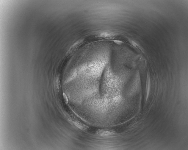 X0000080150597200612221951