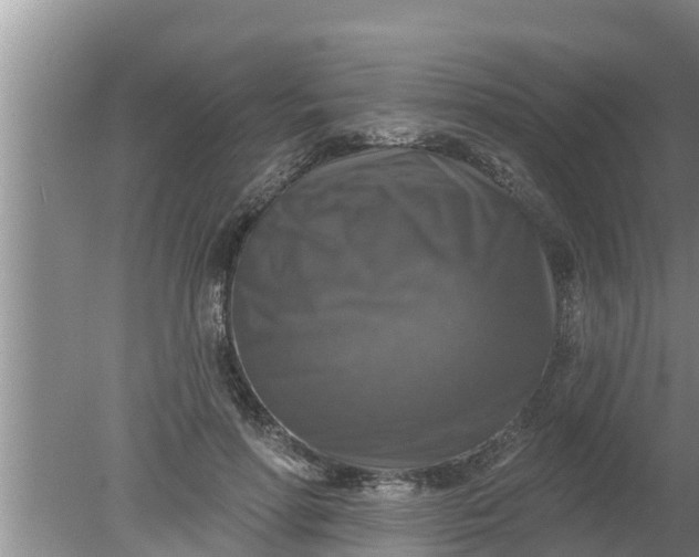 X0000080150598200612221951