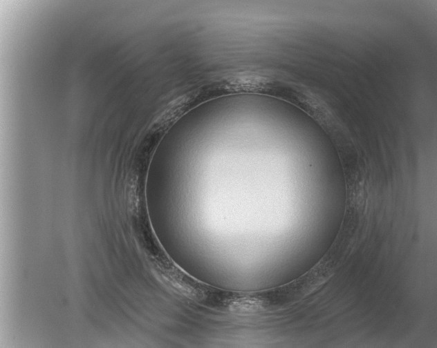 X0000080150599200612221951