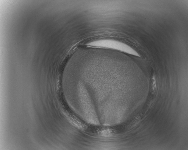 X0000080150600200612221951