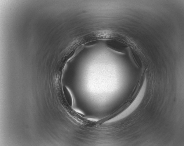 X0000080150601200612221951