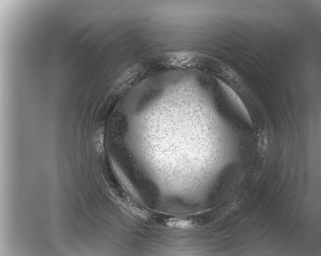 X0000080150602200612221951