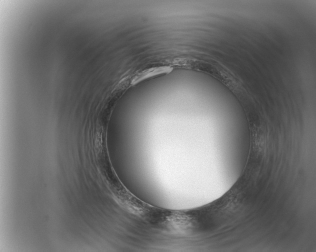 X0000080150603200612221951