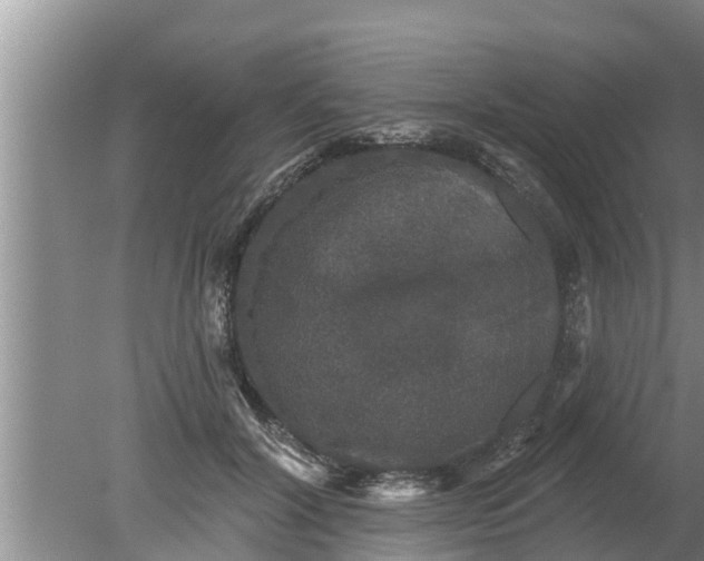 X0000080150604200612221951