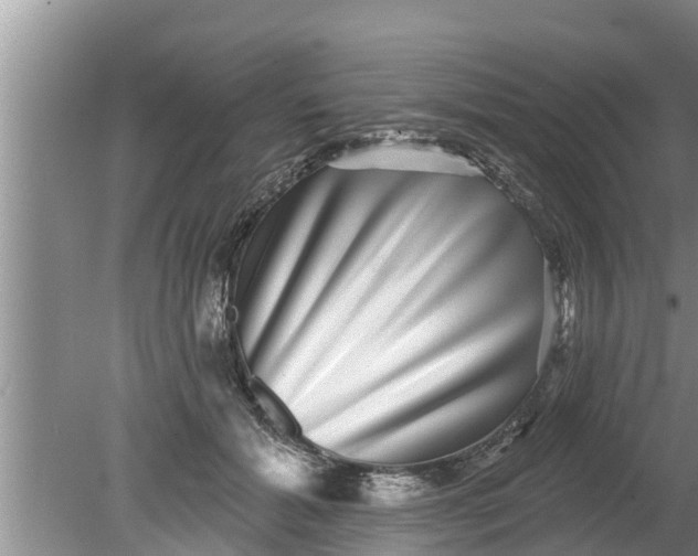 X0000080150605200612221951