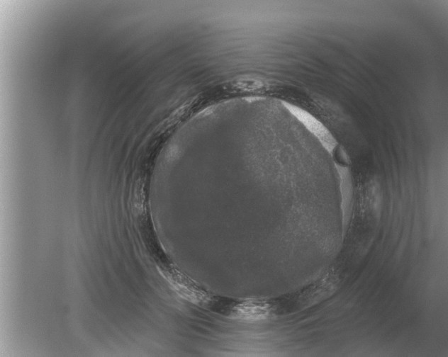 X0000080150606200612221951