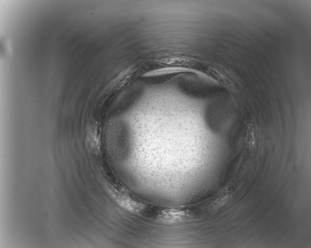 X0000080150607200612221951