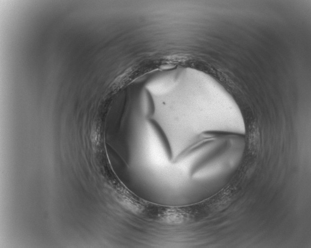 X0000080150608200612221951