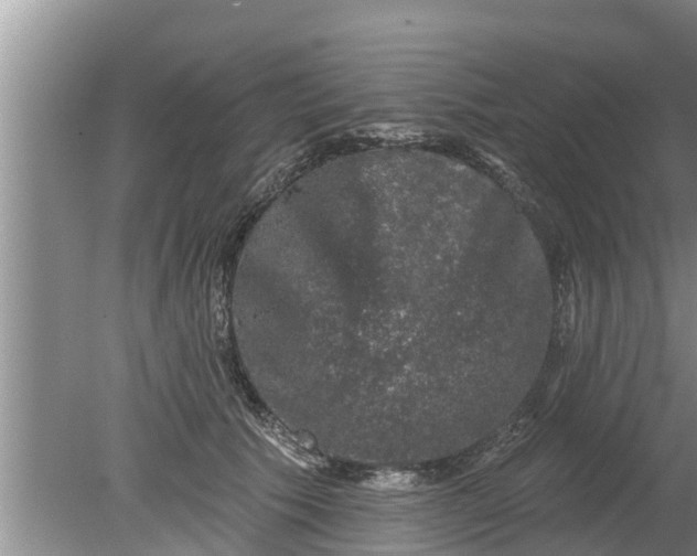 X0000080150609200612221951