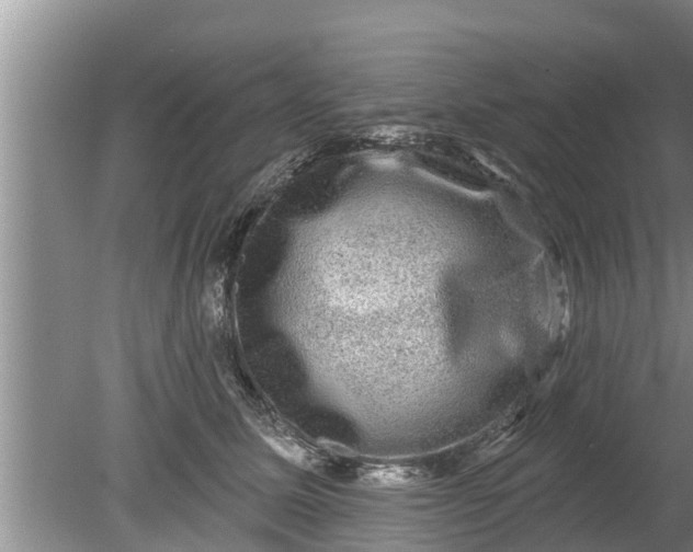 X0000080150611200612221951