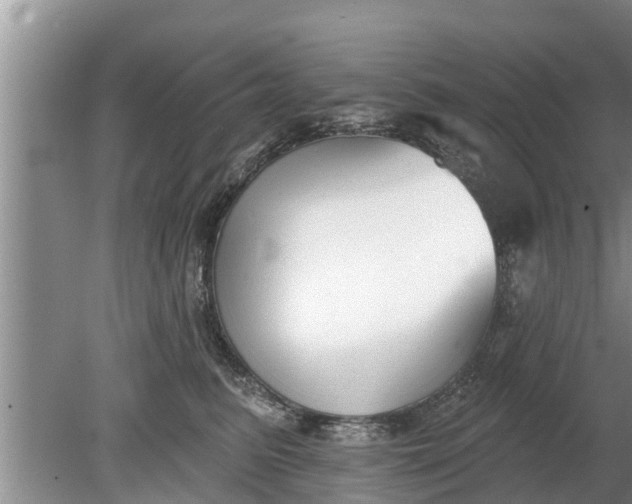 X0000080150615200612221951