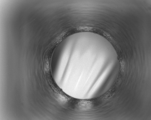 X0000080150617200612221951