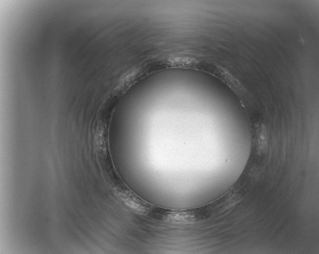 X0000080150619200612221951