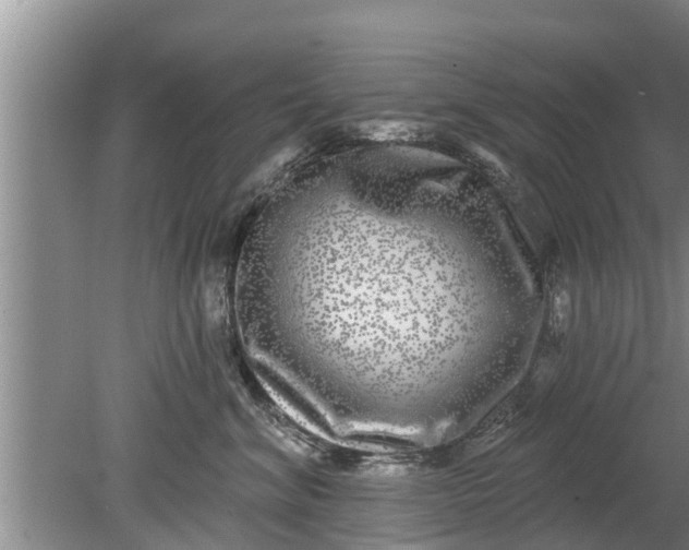 X0000080150620200612221951