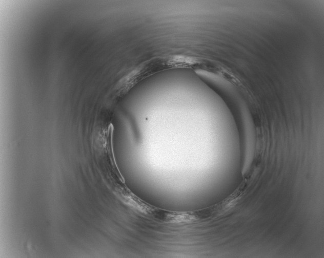 X0000080150621200612221950