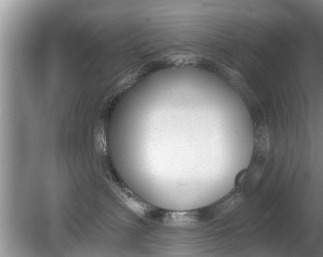 X0000080150622200612221950