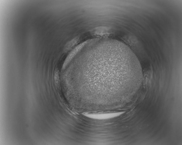 X0000080150623200612221950