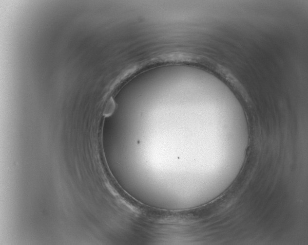 X0000080150625200612221950