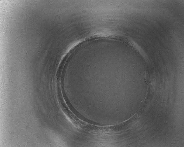 X0000080150626200612221950