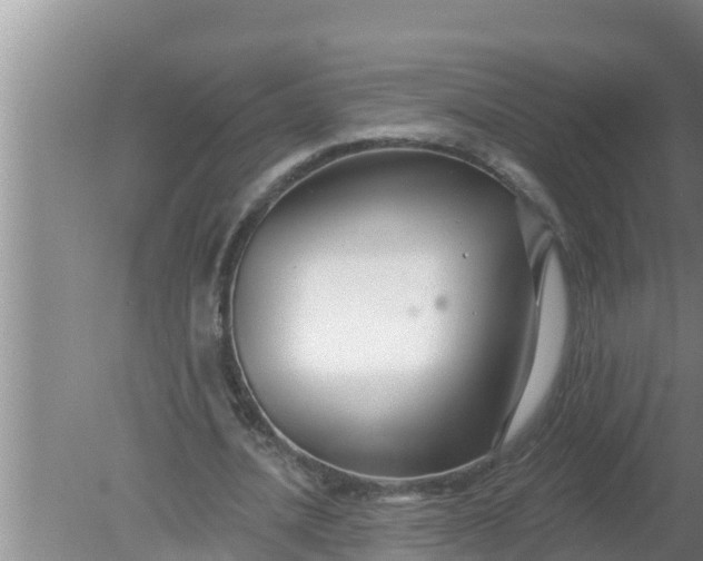 X0000080150628200612221950