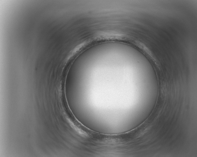 X0000080150629200612221950