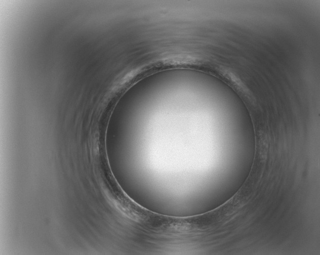 X0000080150631200612221950